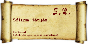 Sólyom Mátyás névjegykártya